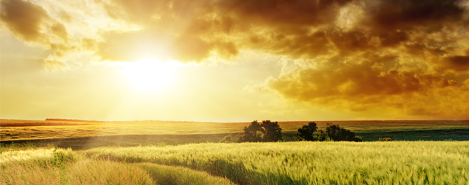 Jacob’s life – Day 7