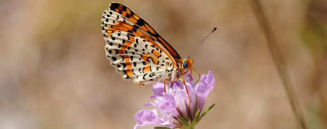 Experience: How to get out of the cocoon?