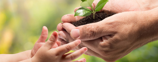 From children to Parents: I sow, you sow, he sows… we reap!