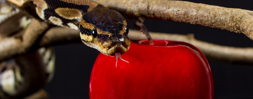 #12 Daniel’s Fasting : What’s Wrong With Me?