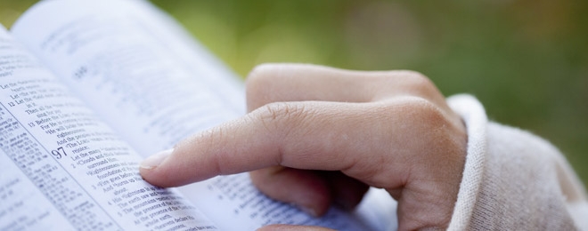 Cuarentena – Dia 7