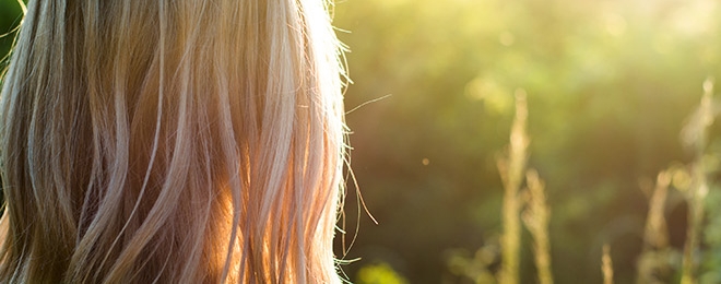 17º Día –  La Fe Entiende