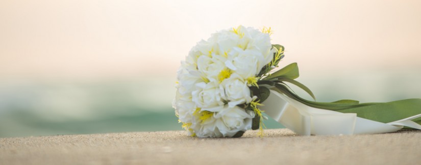 Volviendo al Pasado – 2ª parte