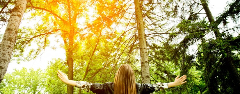 Meditación – ¿Cómo atender la necesidad?