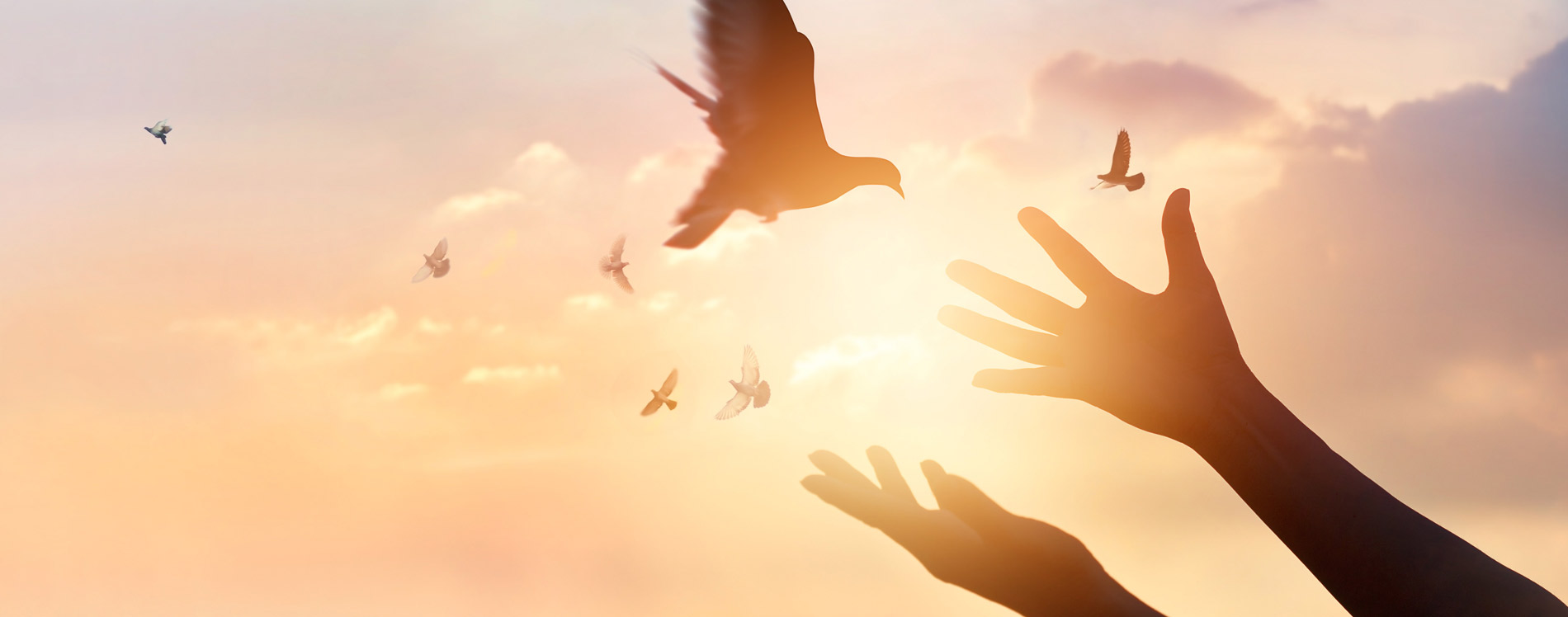 76º Día | Ser el Testimonio