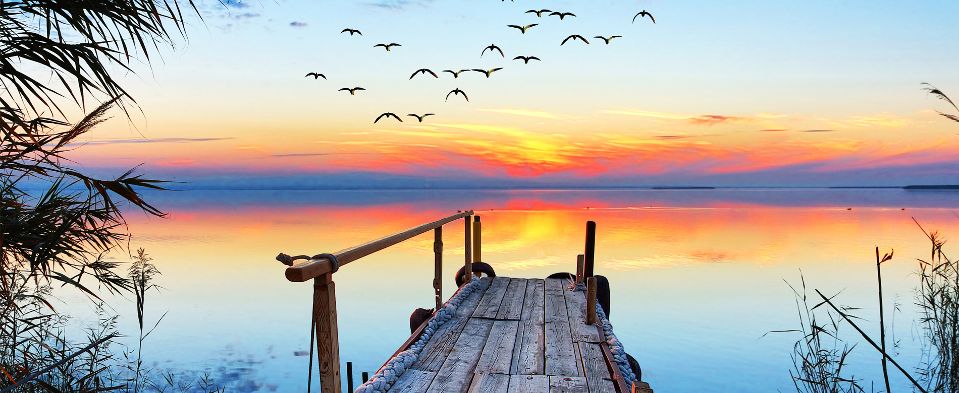 86º Día | Ser el Testimonio