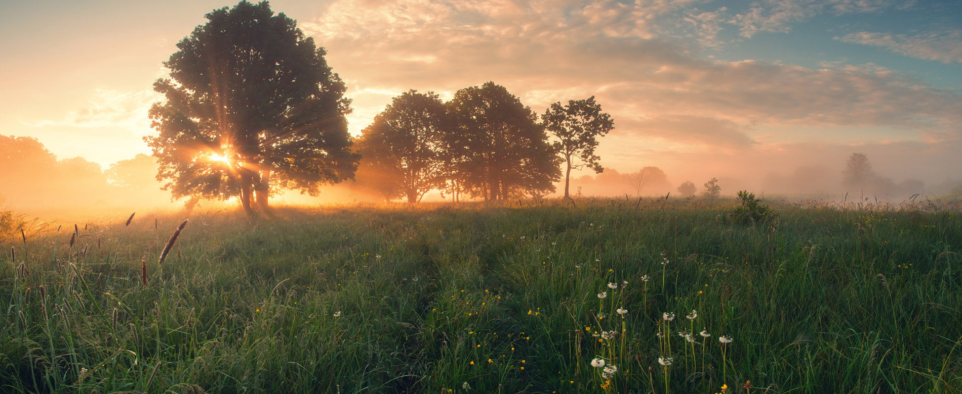 1.3 – La Voz de la Fe