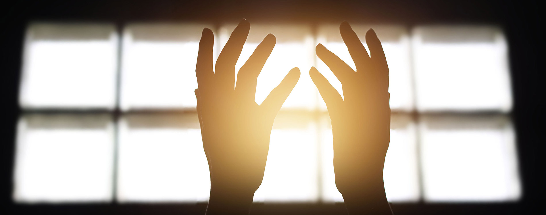 ¿Cómo es tu vestidura?