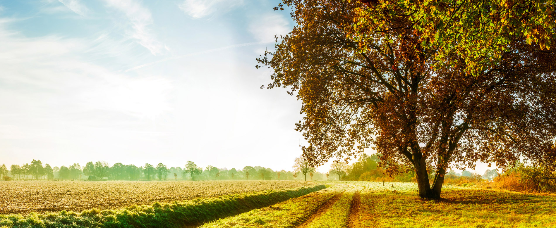 1.4 – La Voz de la Fe