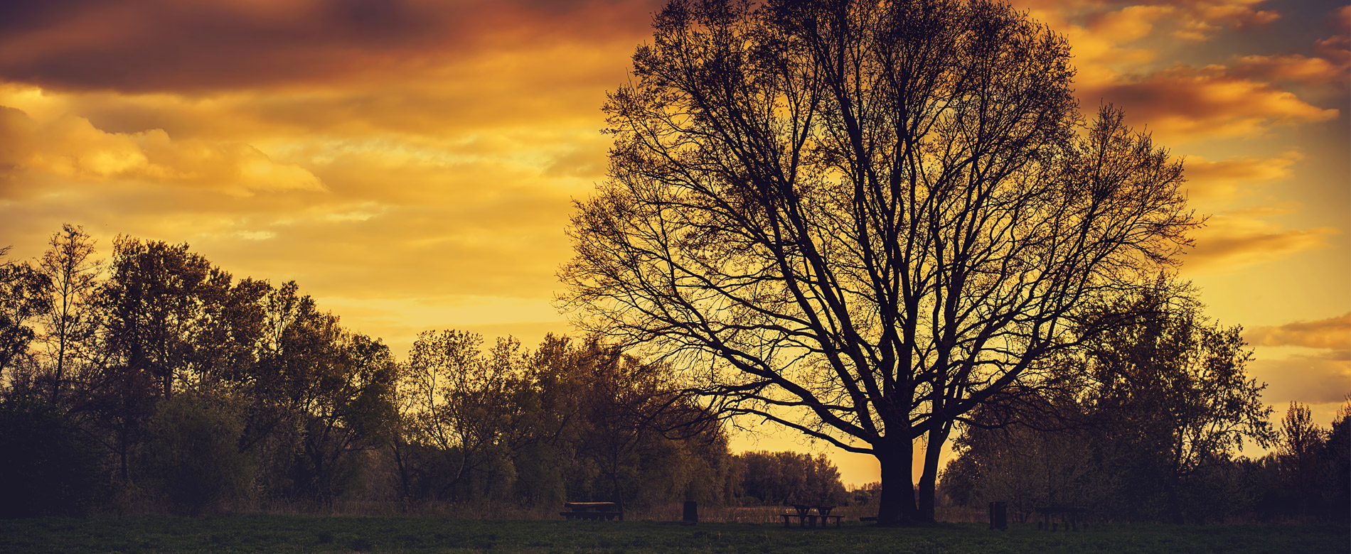 2.1 – La Voz de la Fe