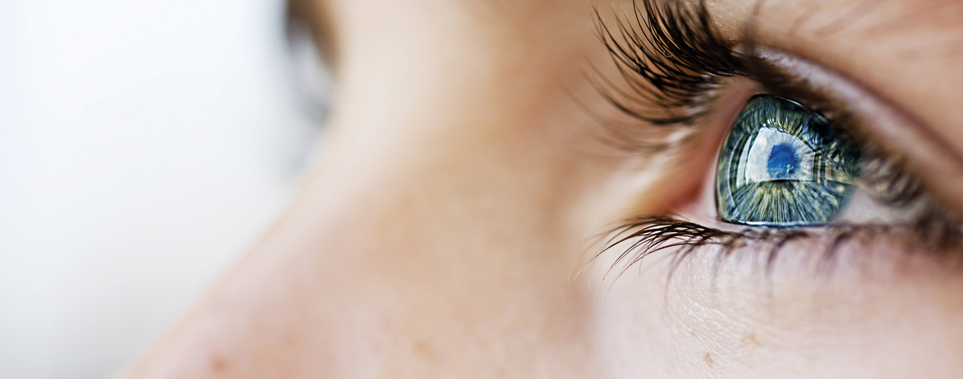 ¿Adónde puedes llegar con tus ojos?