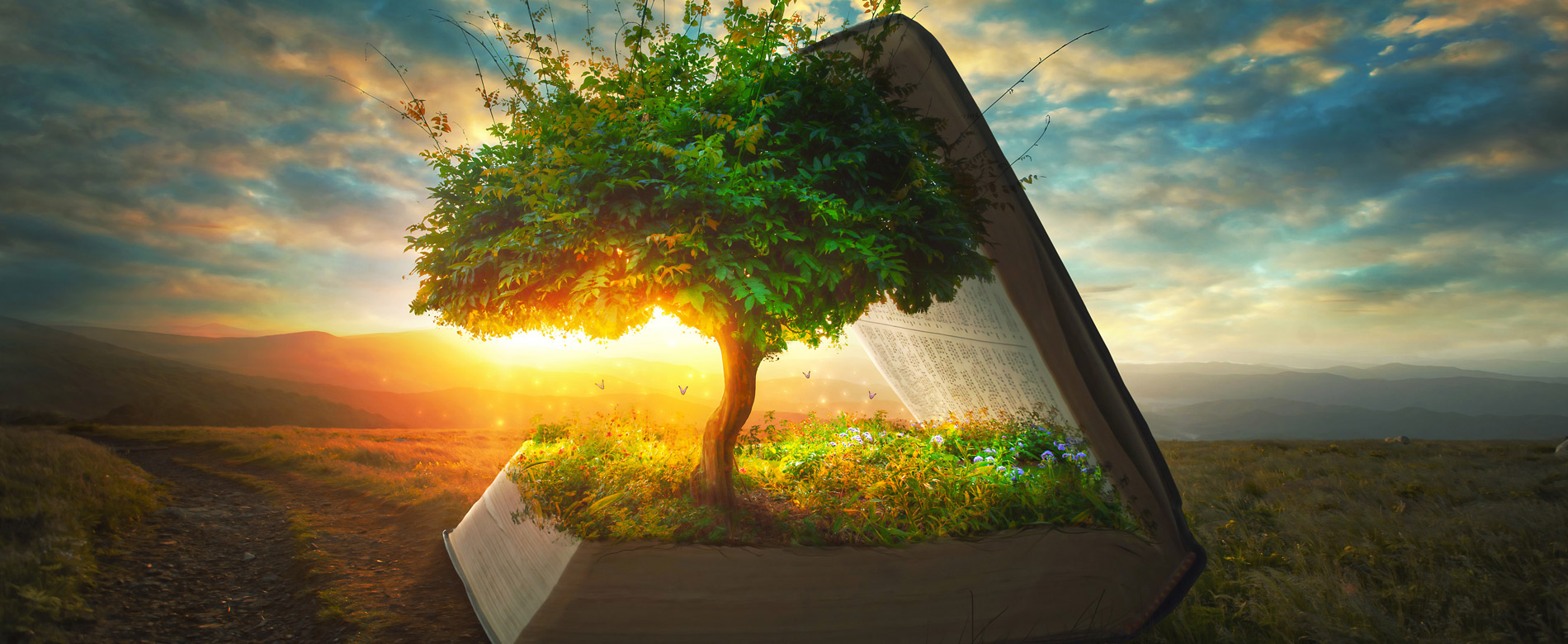 2.5 – La Voz de la Fe