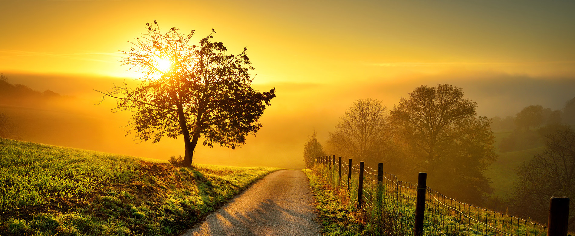 2.7 – La Voz de la Fe