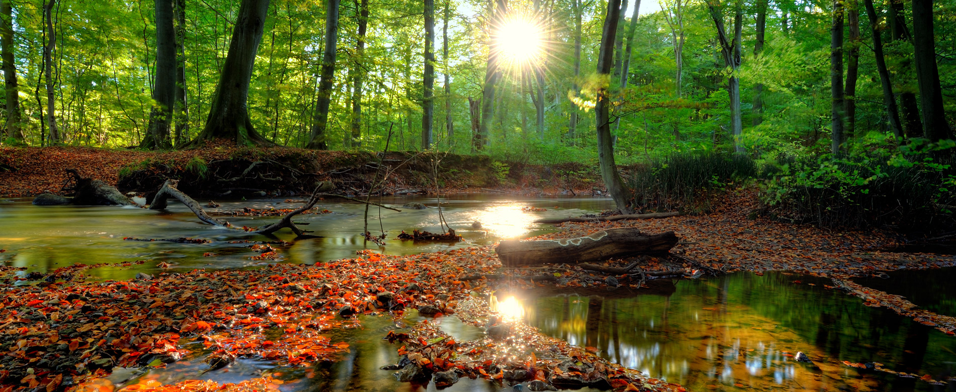 2.8 – La Voz de la Fe