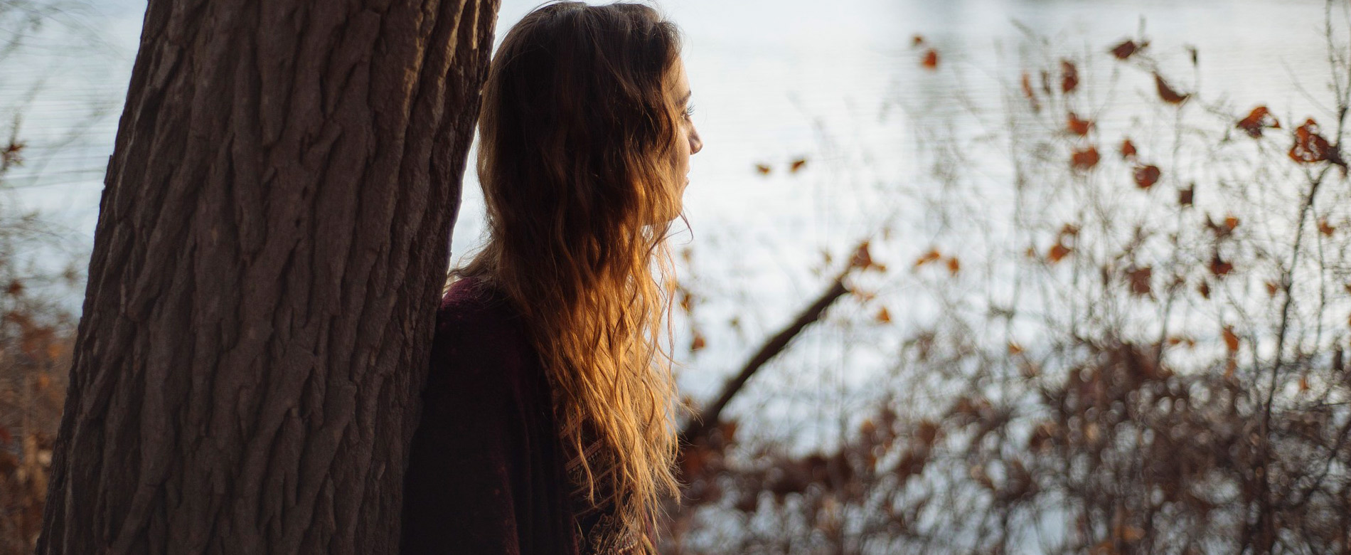 La Vida, ¿qué nos enseña?