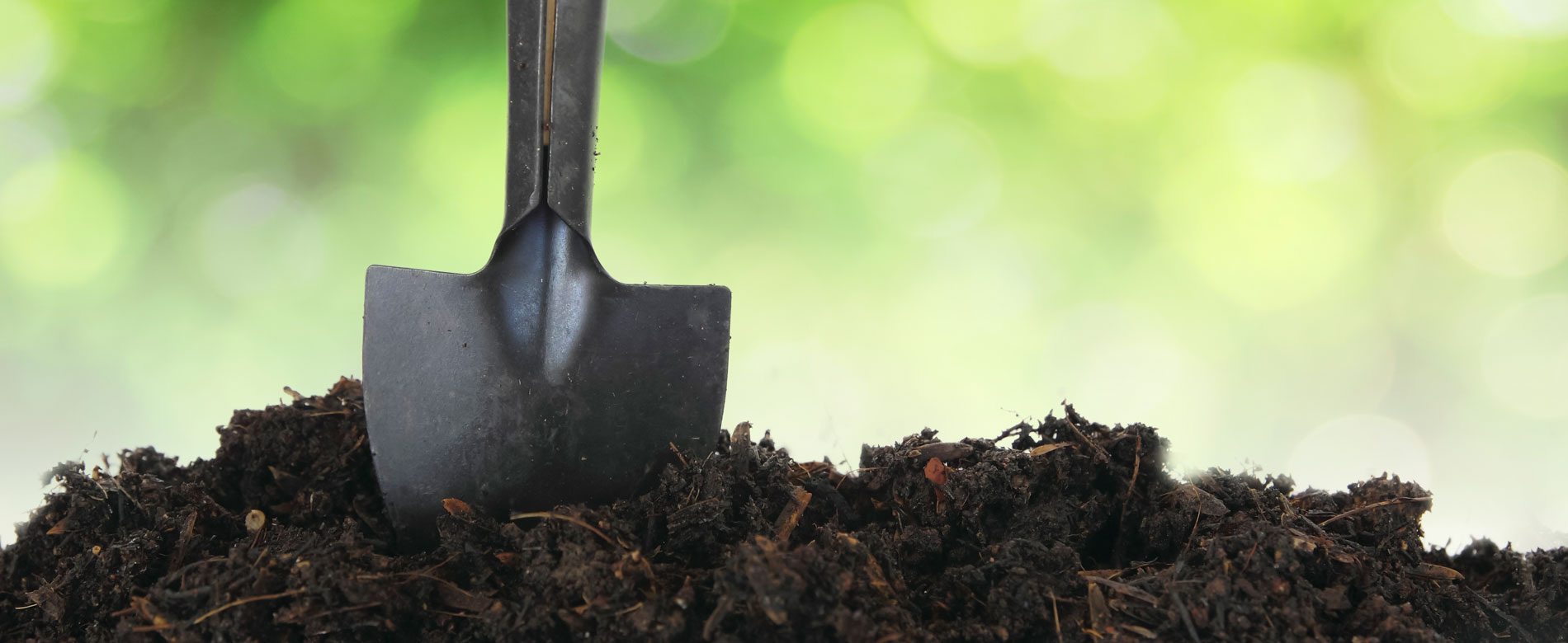 SIERVAS EN ALERTA – ¿Dónde está tu pala?