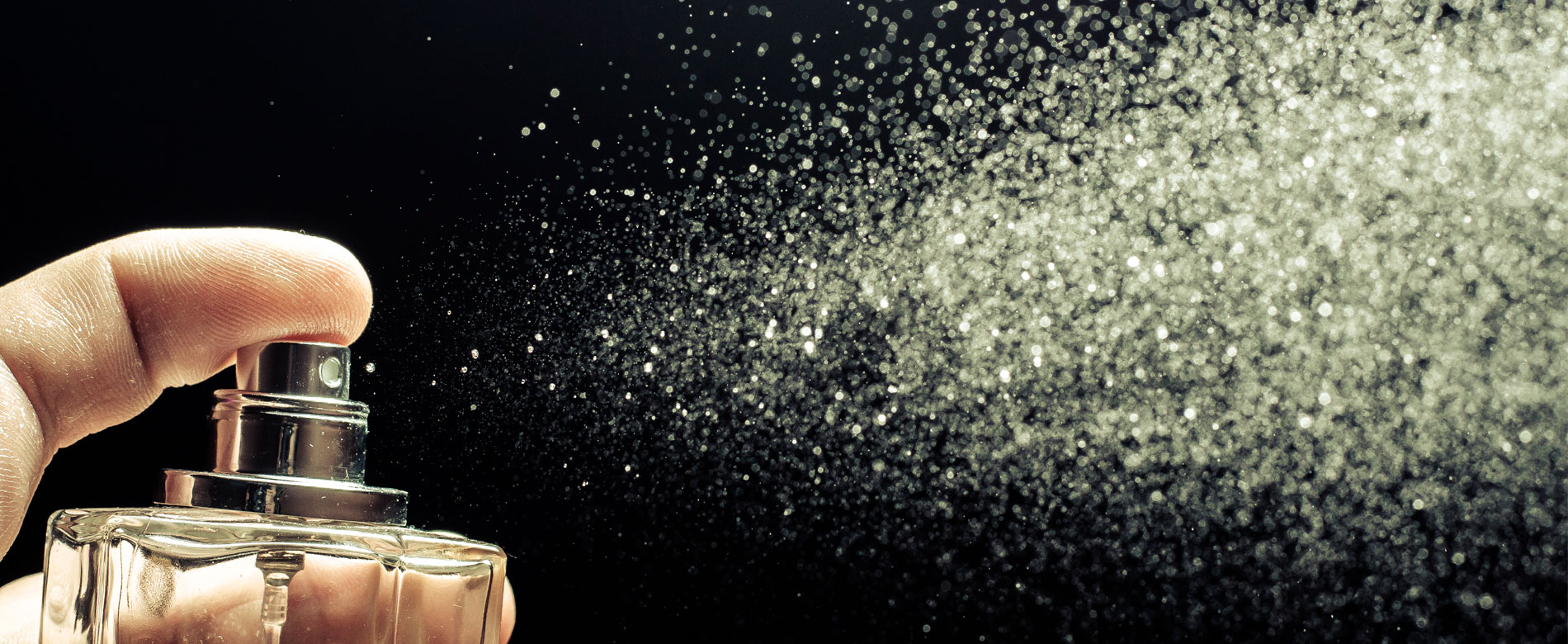 SIERVAS EN ALERTA – ¡LAS VÍRGENES!