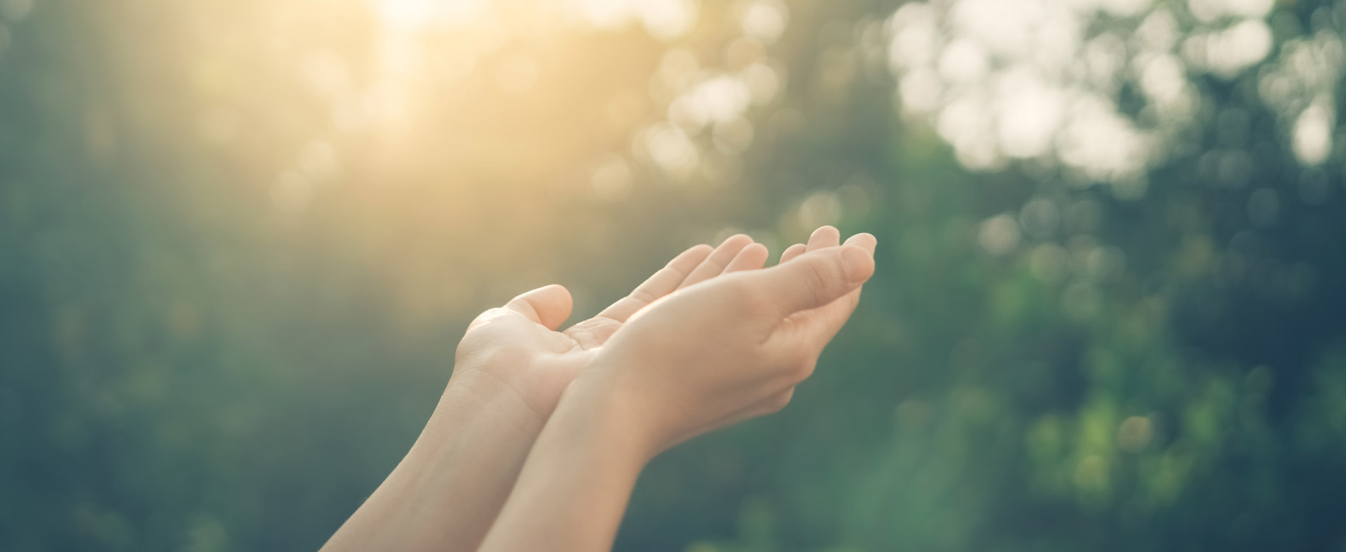 Siervas en alerta – ¡La verdadera intención!