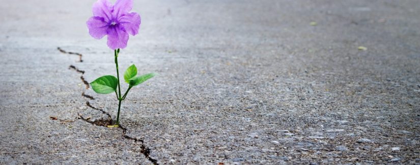 SER HUMANO, ¿DÓNDE ESTÁ SU ESPERANZA?