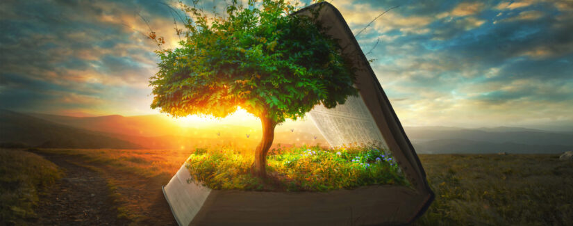 ¿QUIÉN ES DIOS? ¿QUIÉN ES USTED? – Episodio 2: ¿Dónde está la vida?￼