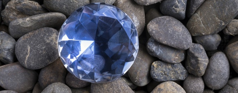 Уникальная служительница