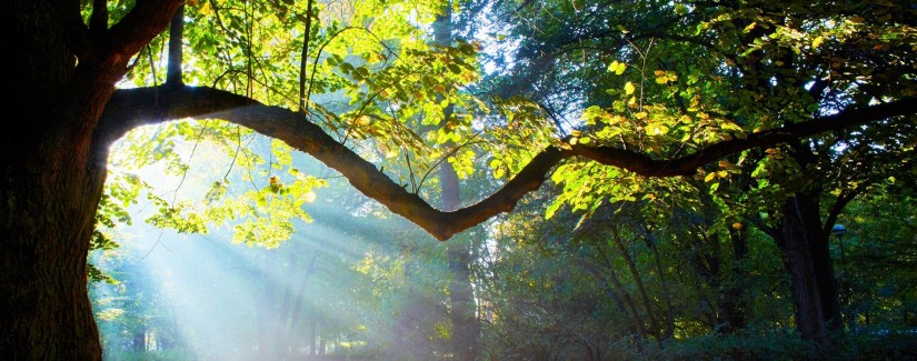 18 — Отдать что?