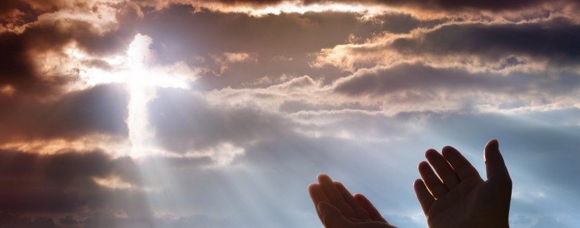 7 — Отдать что?