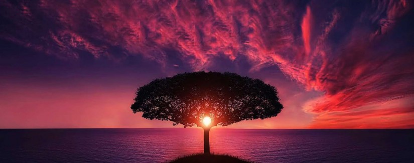 Фоны для размышлений