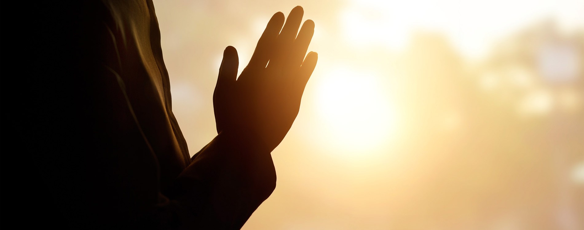 8 — Быть свидетельством