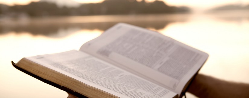 Быть свидетельством — 11