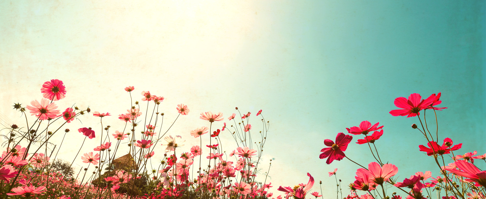 Пост 21 день — 17-й день