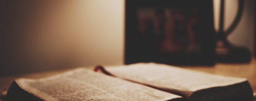 Быть свидетельством — 19