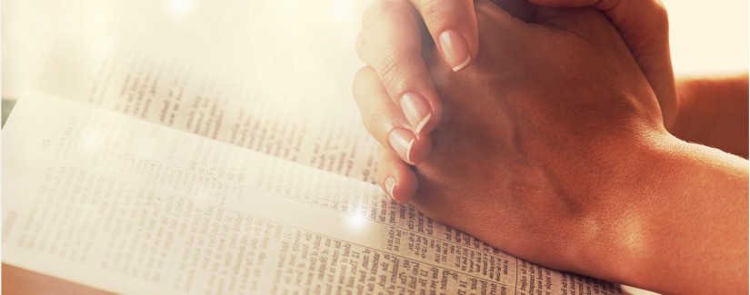 Быть свидетельством — 26