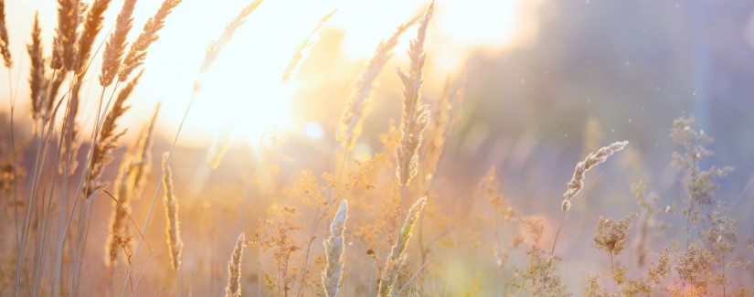 Быть свидетельством — 28