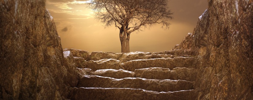 Быть свидетельством — 34