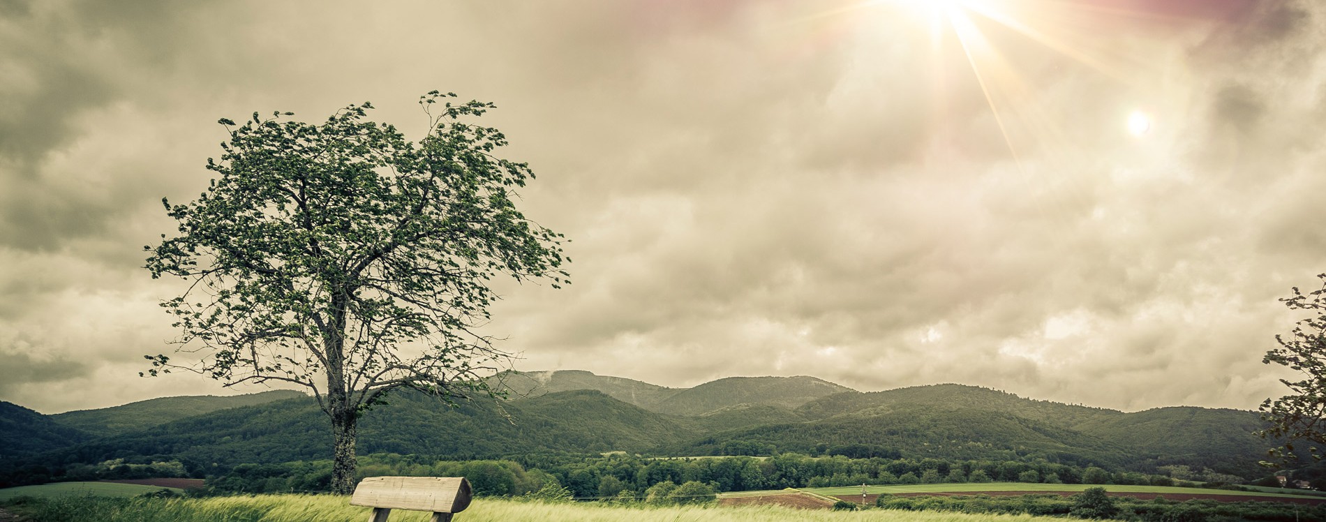 БЫТЬ СВИДЕТЕЛЬСТВОМ — 40