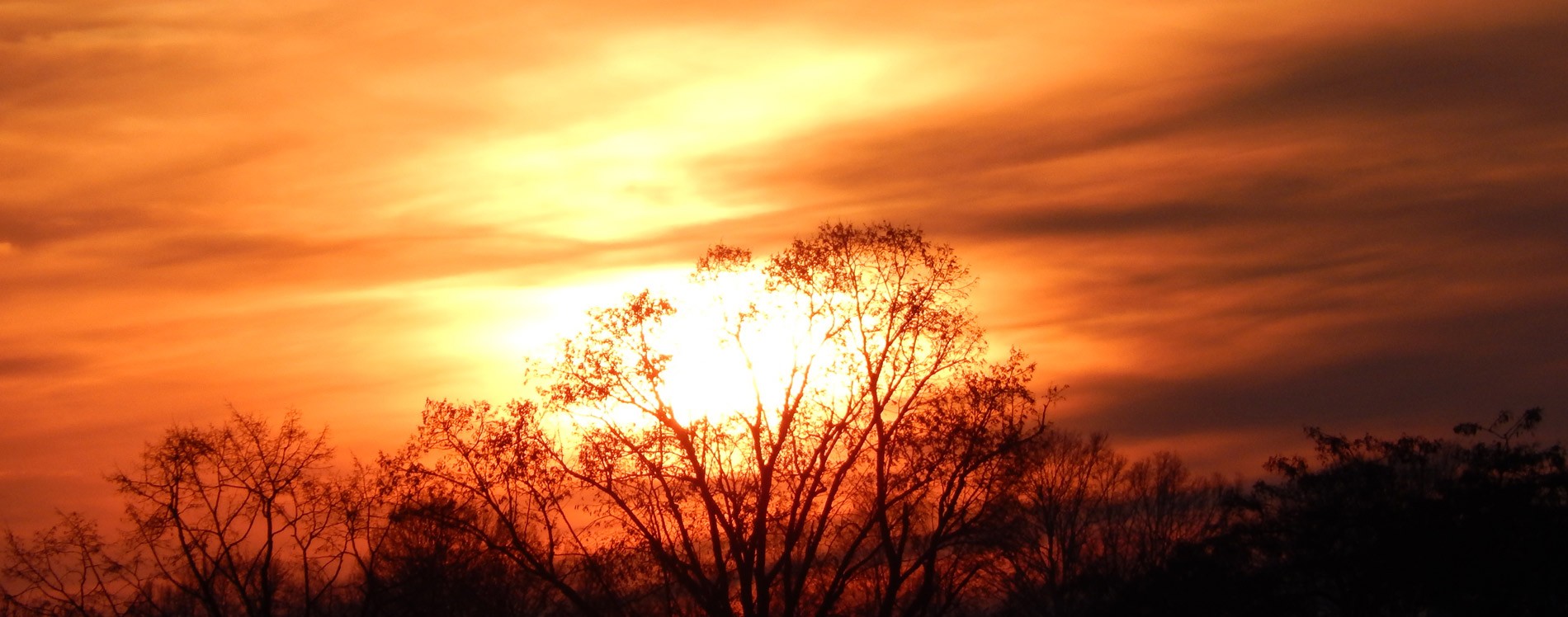 БЫТЬ СВИДЕТЕЛЬСТВОМ — 42