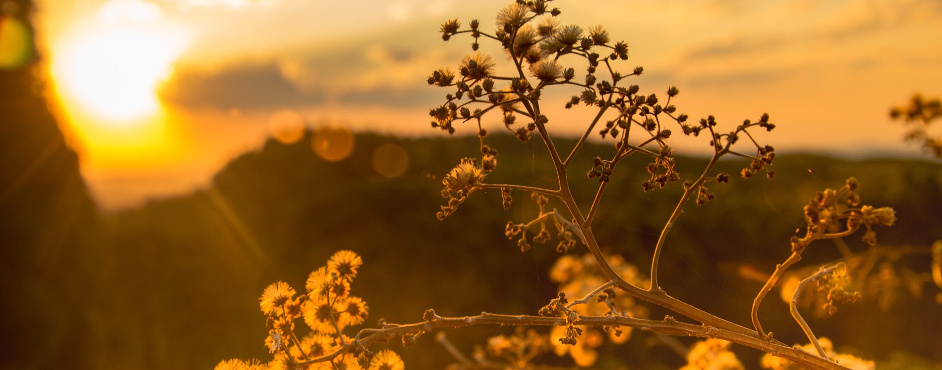 БЫТЬ СВИДЕТЕЛЬСТВОМ — 45