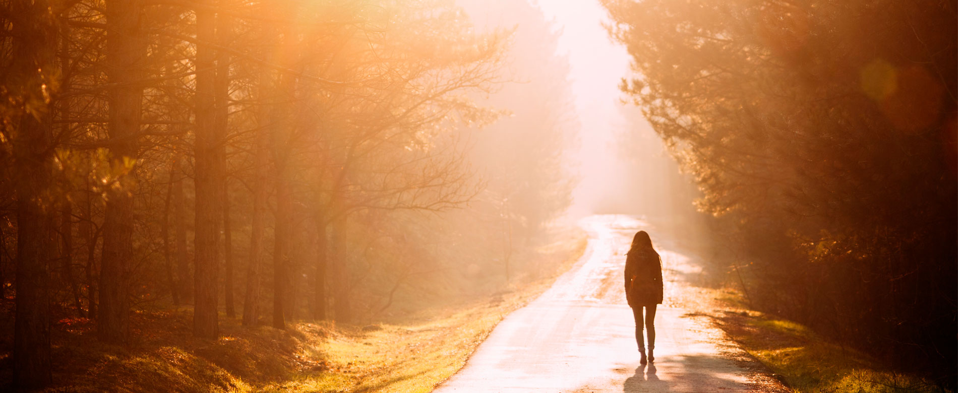 Слуги бдительны — спасти или потерять душу