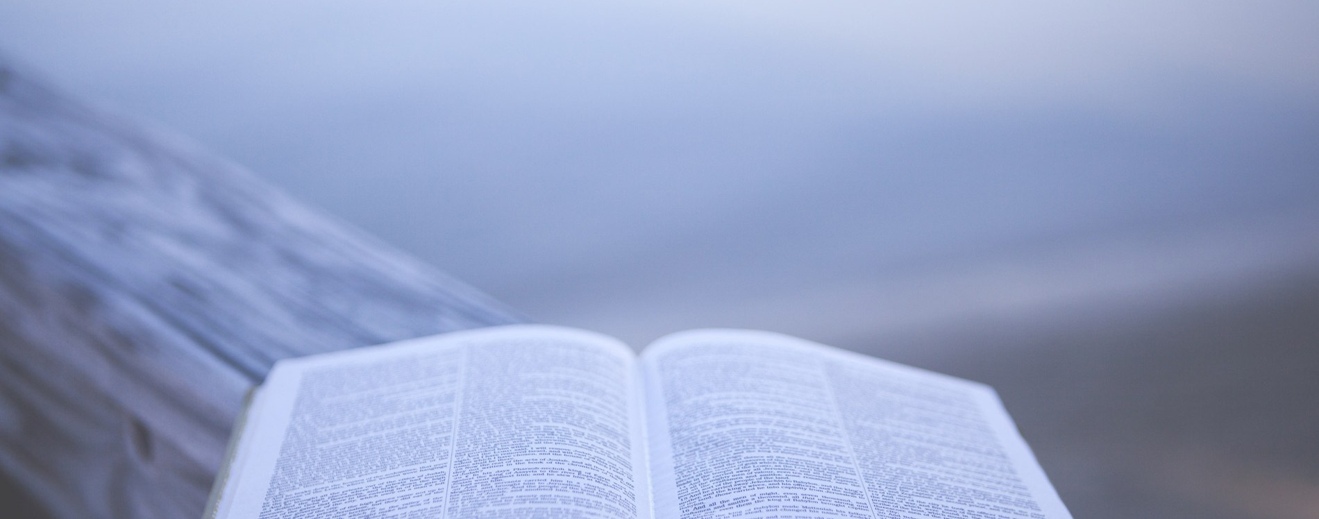 БЫТЬ СВИДЕТЕЛЬСТВОМ — 48