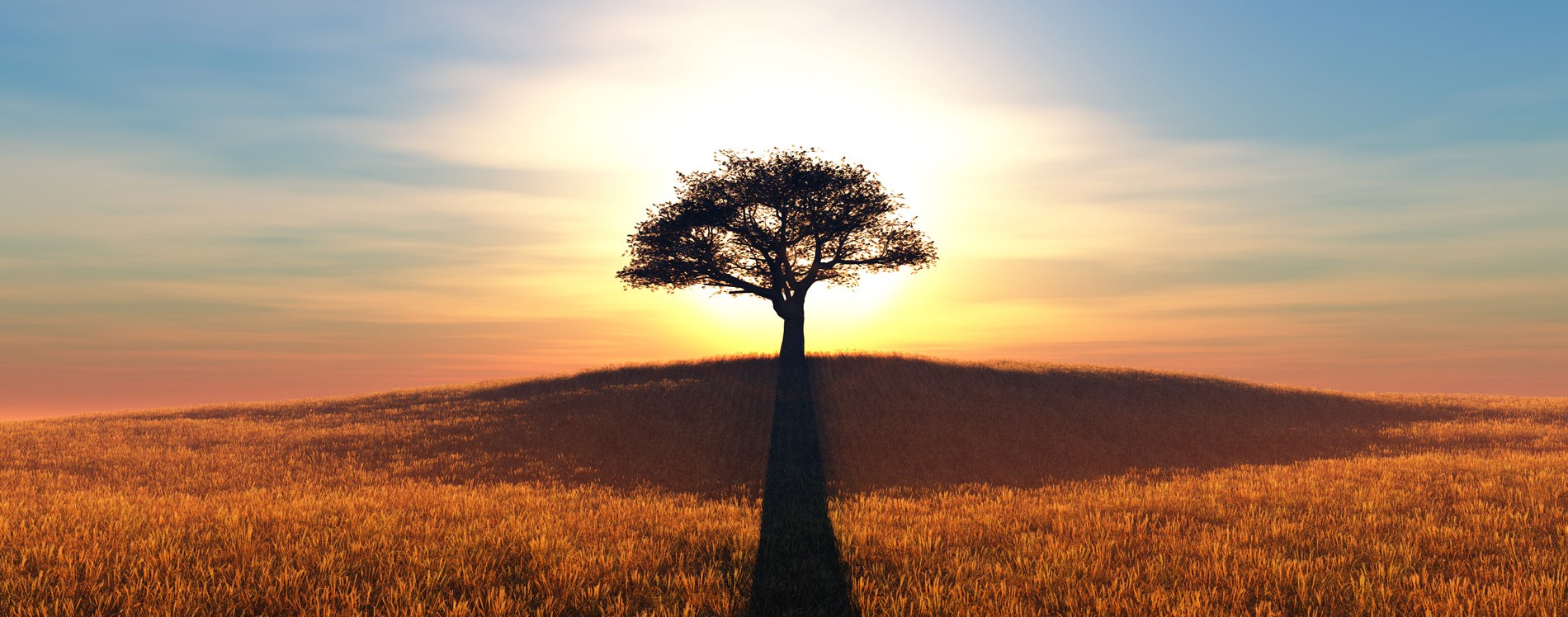 Быть свидетельством — 50