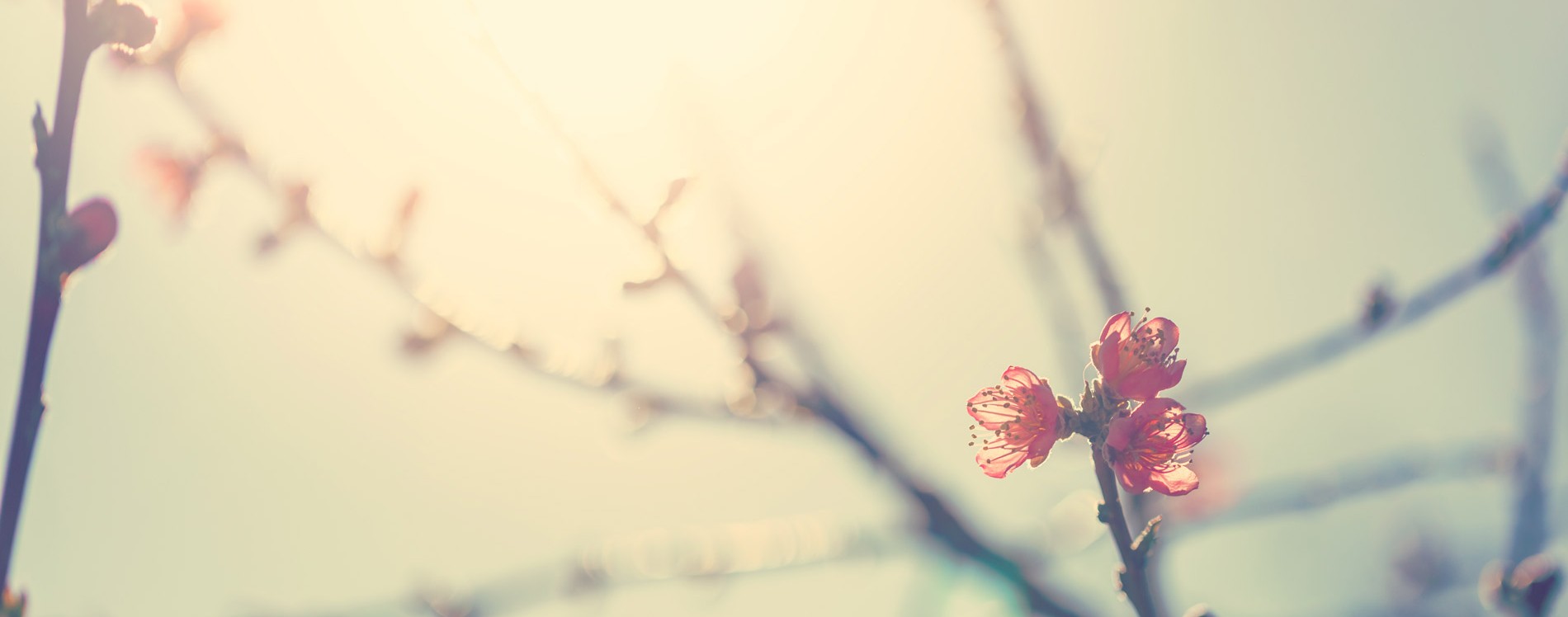 Быть свидетельством — 55