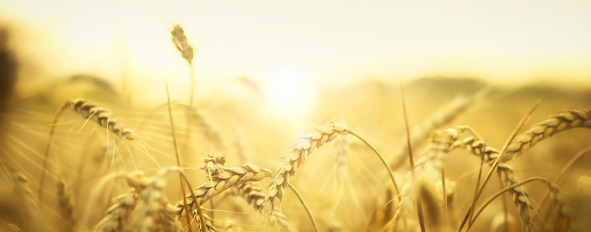 Быть свидетельством — 57