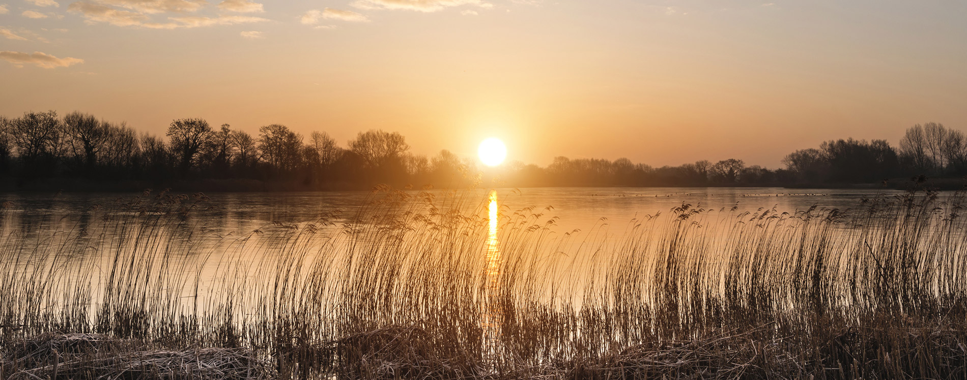 Быть свидетельством — 70