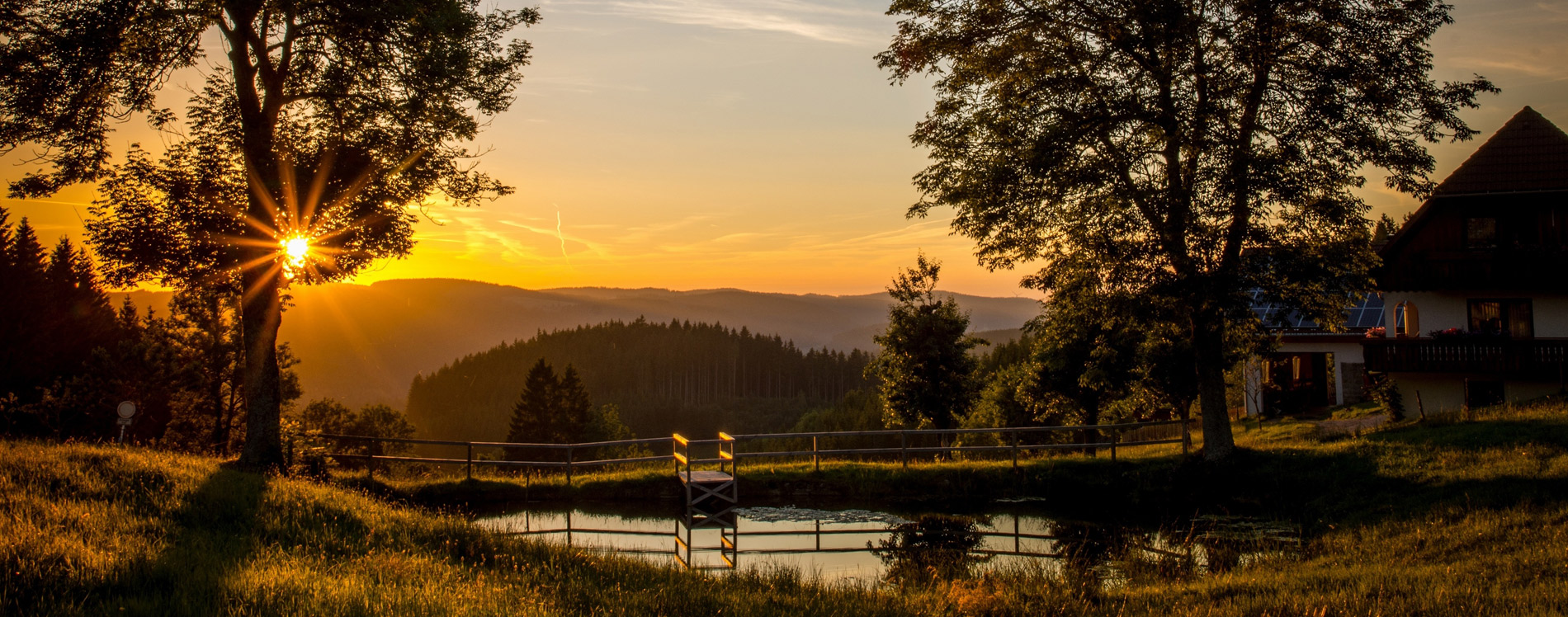 Быть свидетельством — 72