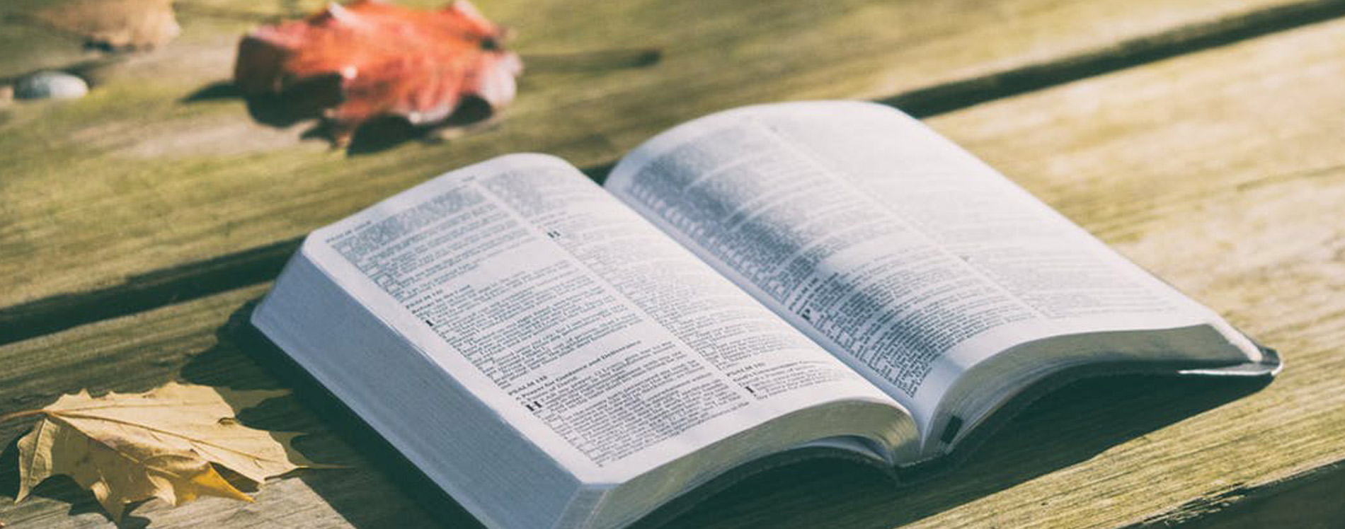 Быть свидетельством — 74