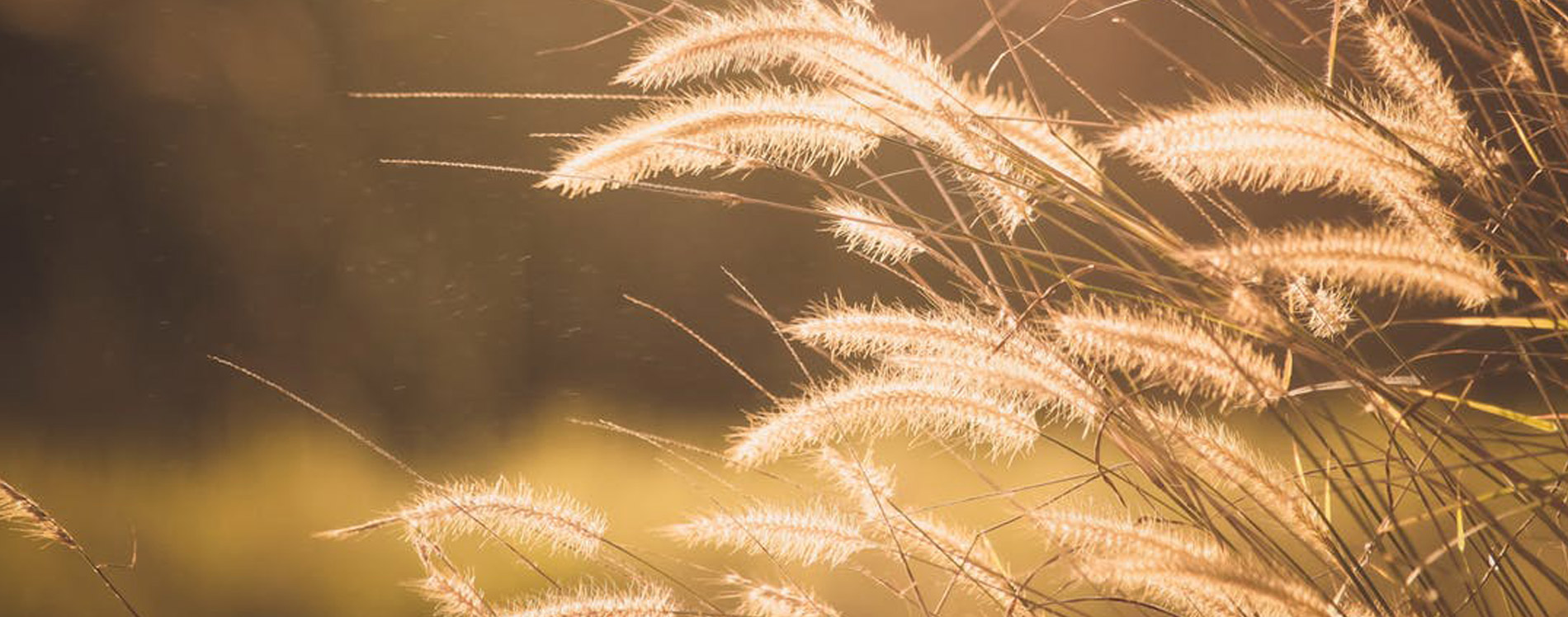 Быть свидетельством — 75