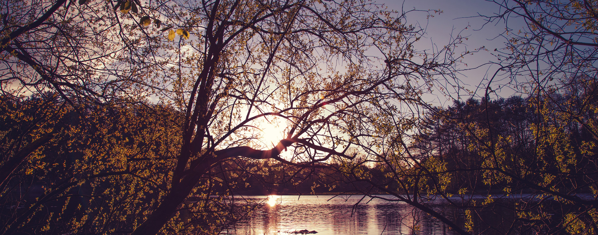 Быть свидетельством — 77