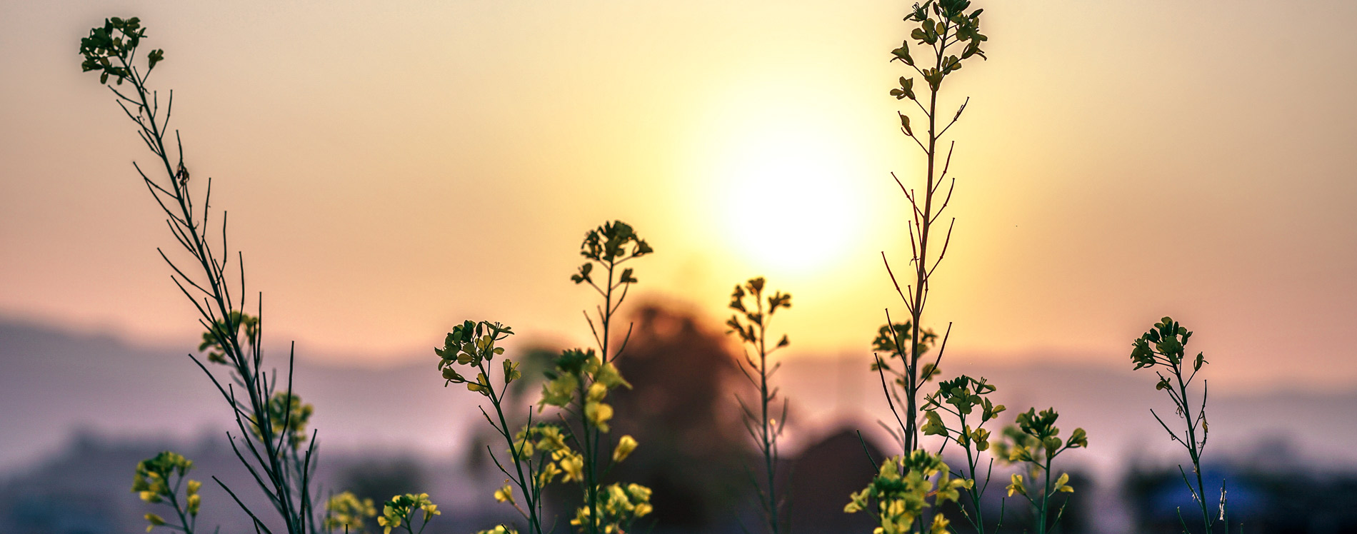 Быть свидетельством — 80