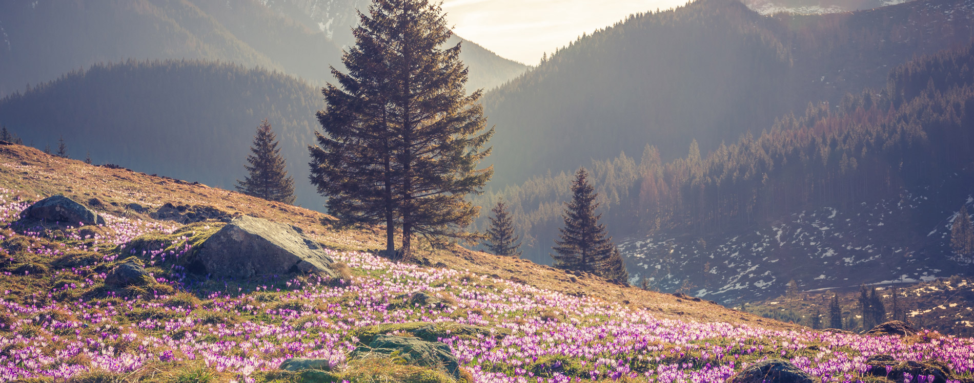 Быть свидетельством — 83